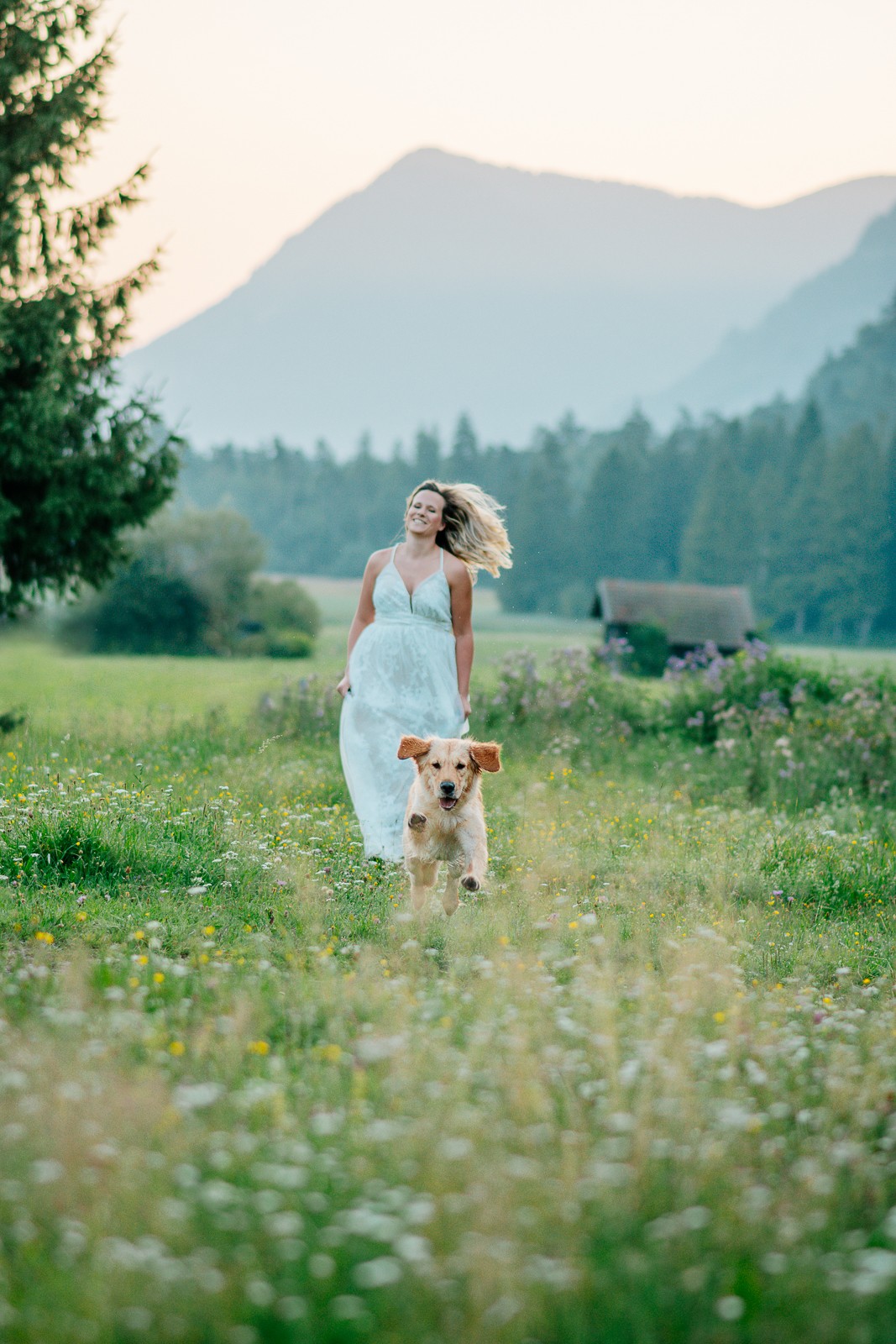 Fotoshooting in den Bergen mit junger Golden Retriever Hündin und Frau im Hochzeitskleid